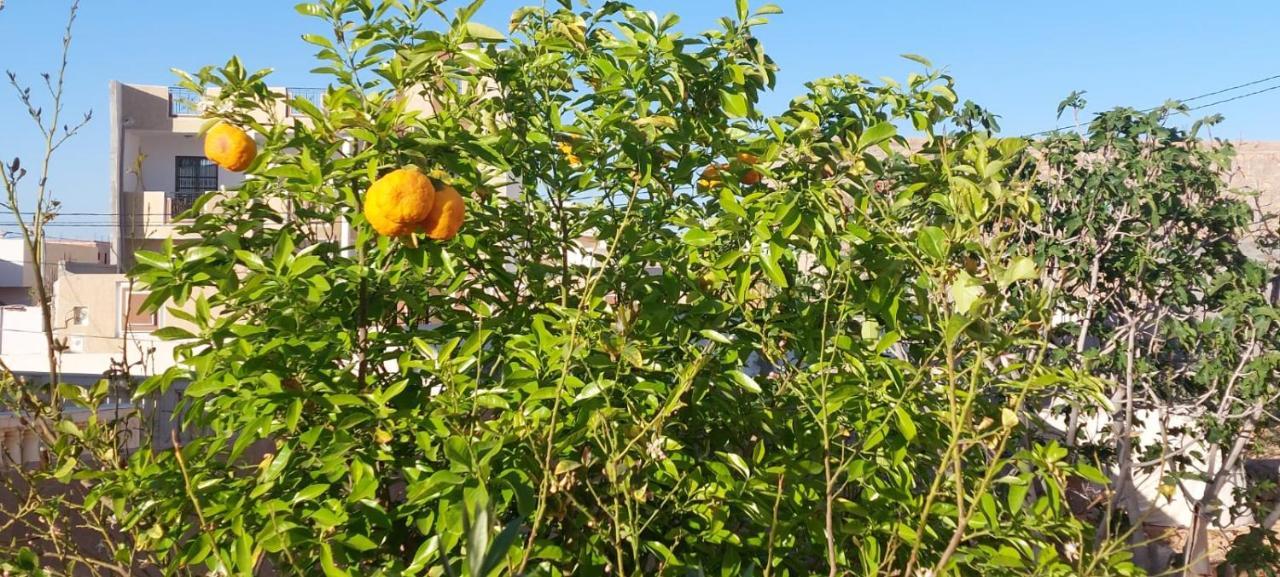 Apartmán Dar Ettawfik Tataouine Exteriér fotografie
